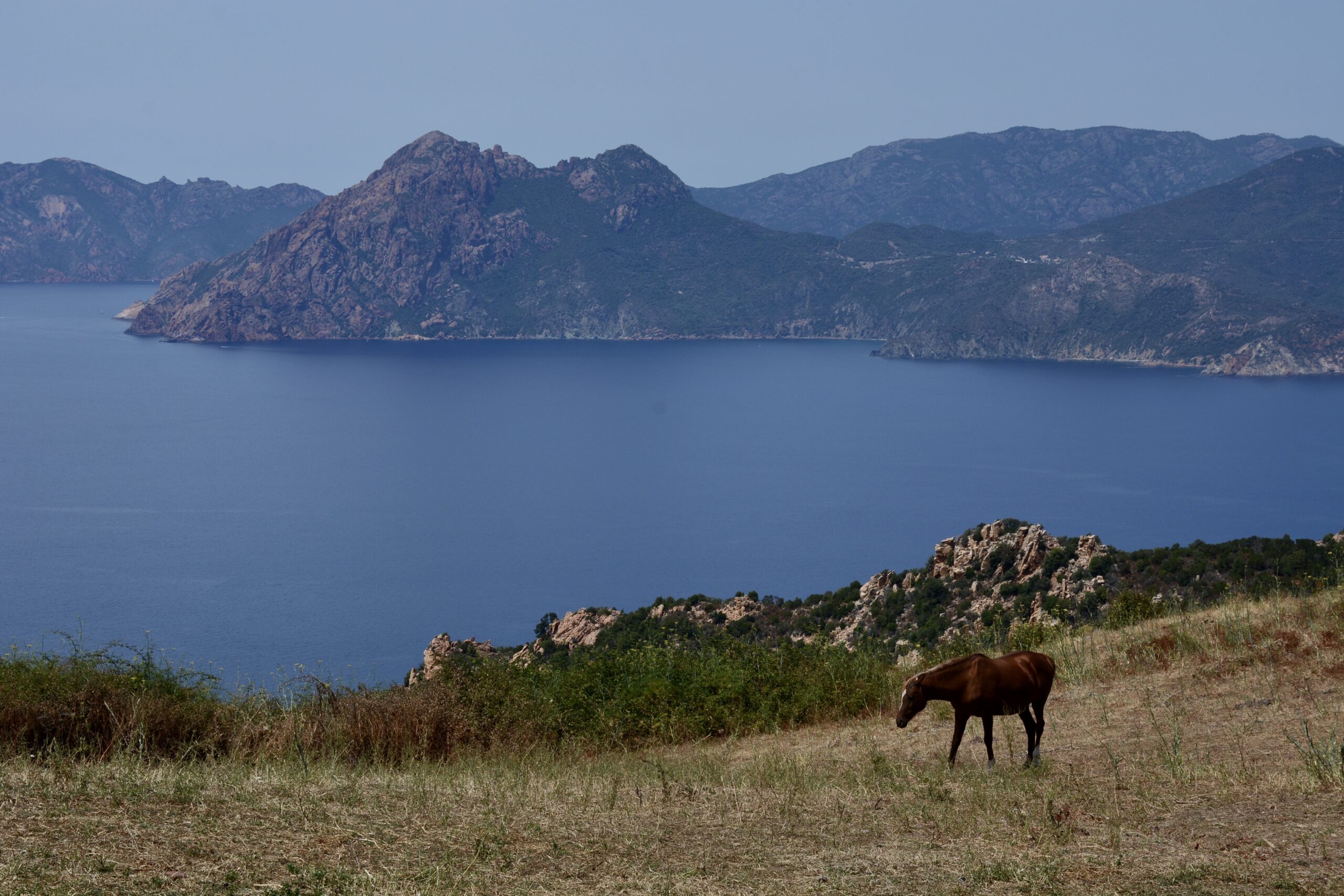 Corsica landscape