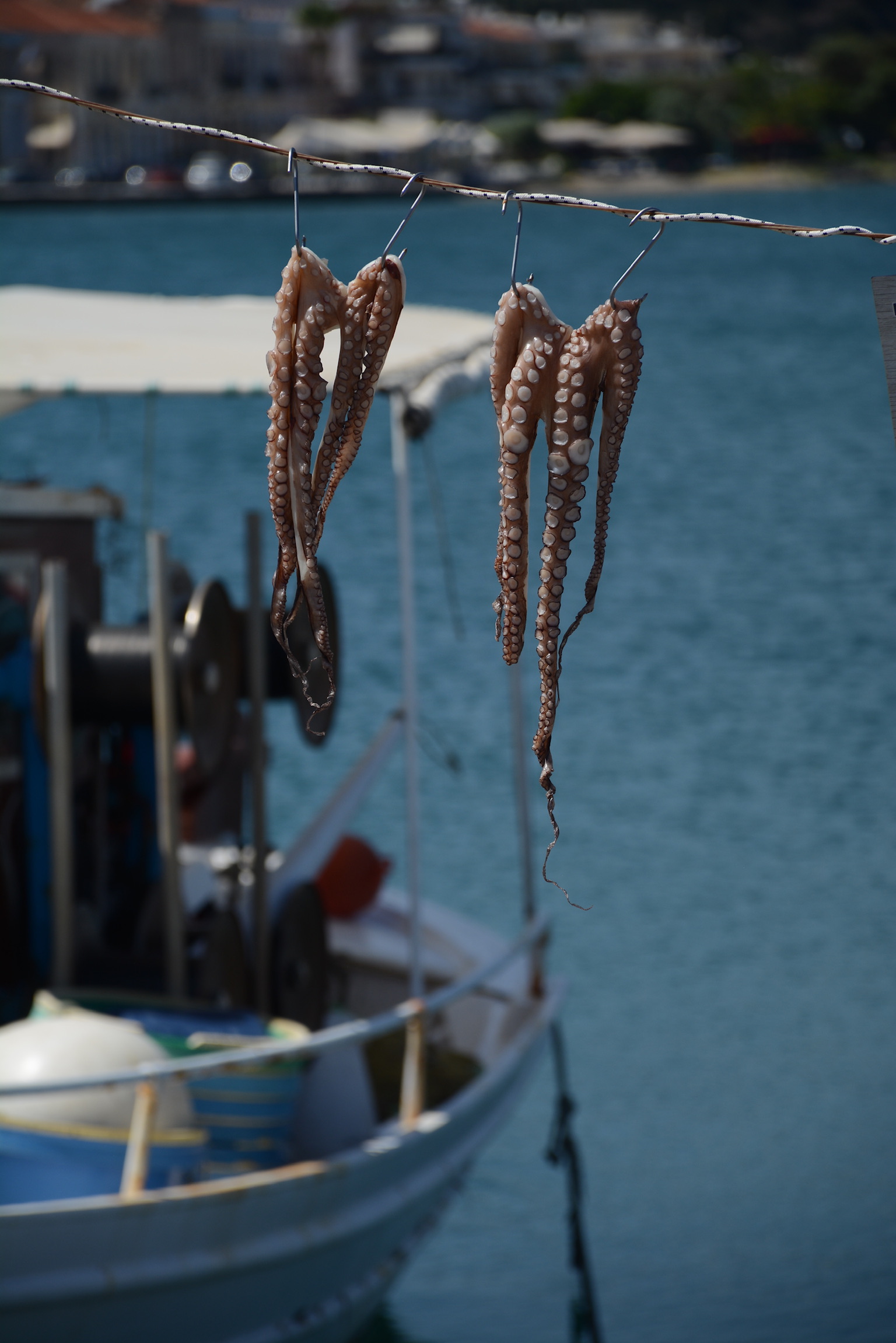 Pulpo catch