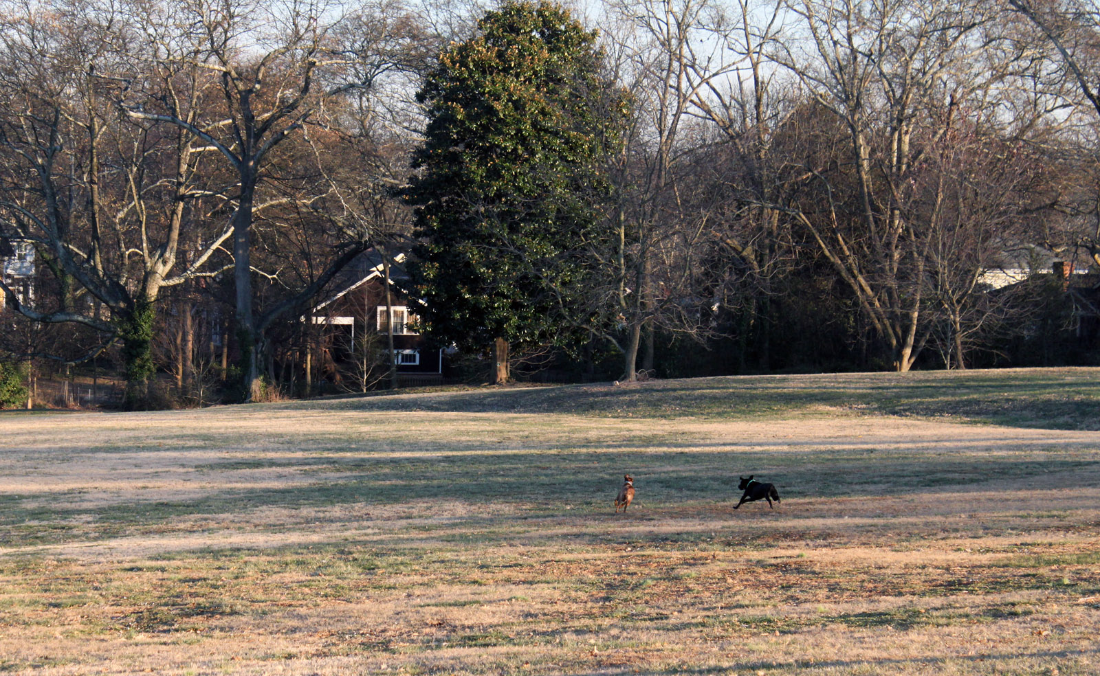 Freedom Park