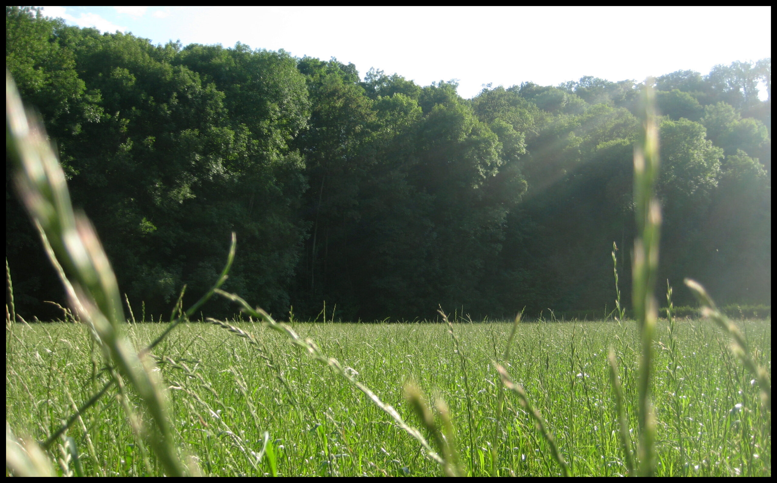 Glemstal, Unterriexingen