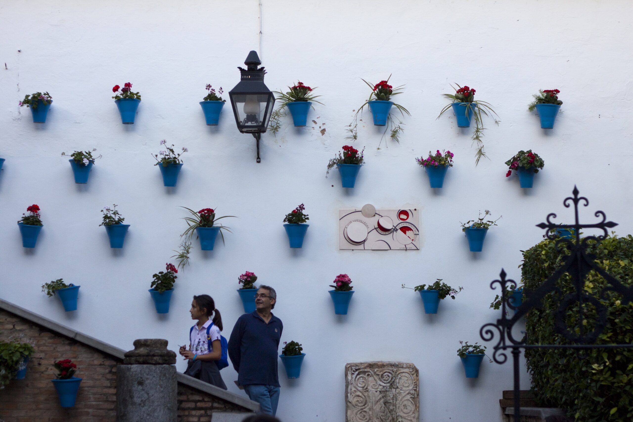 Hanging Flower Pots