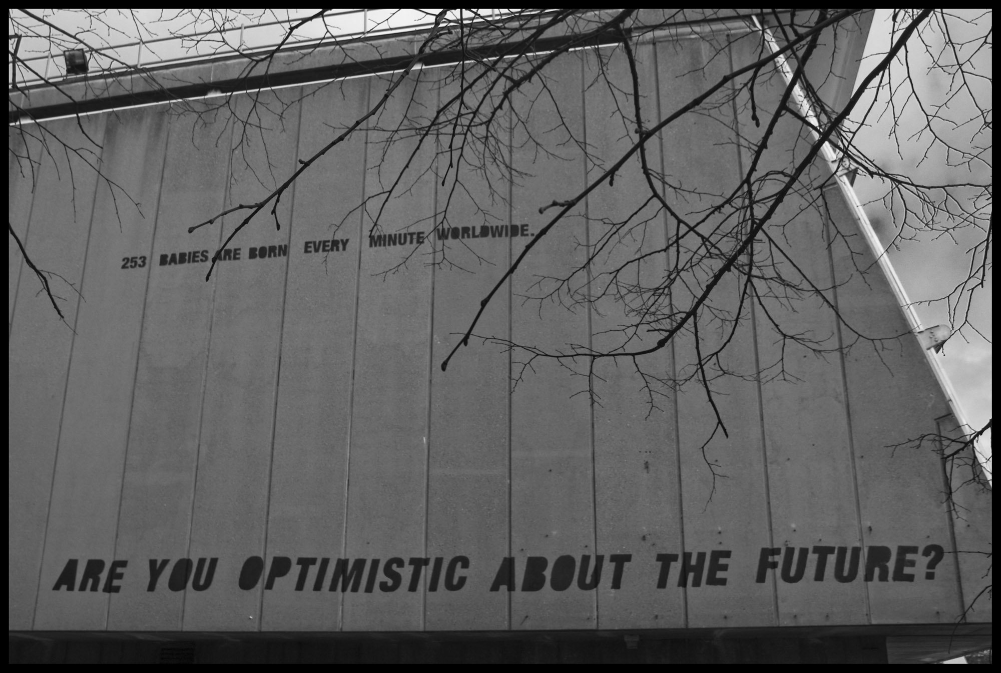 Are you optimistic about the future?