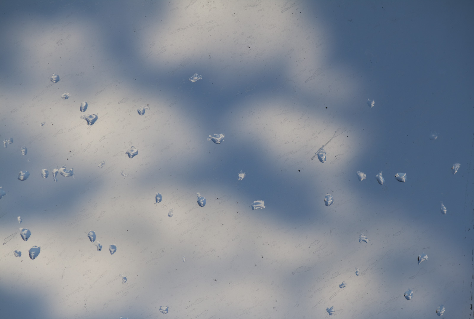 Drops on my window