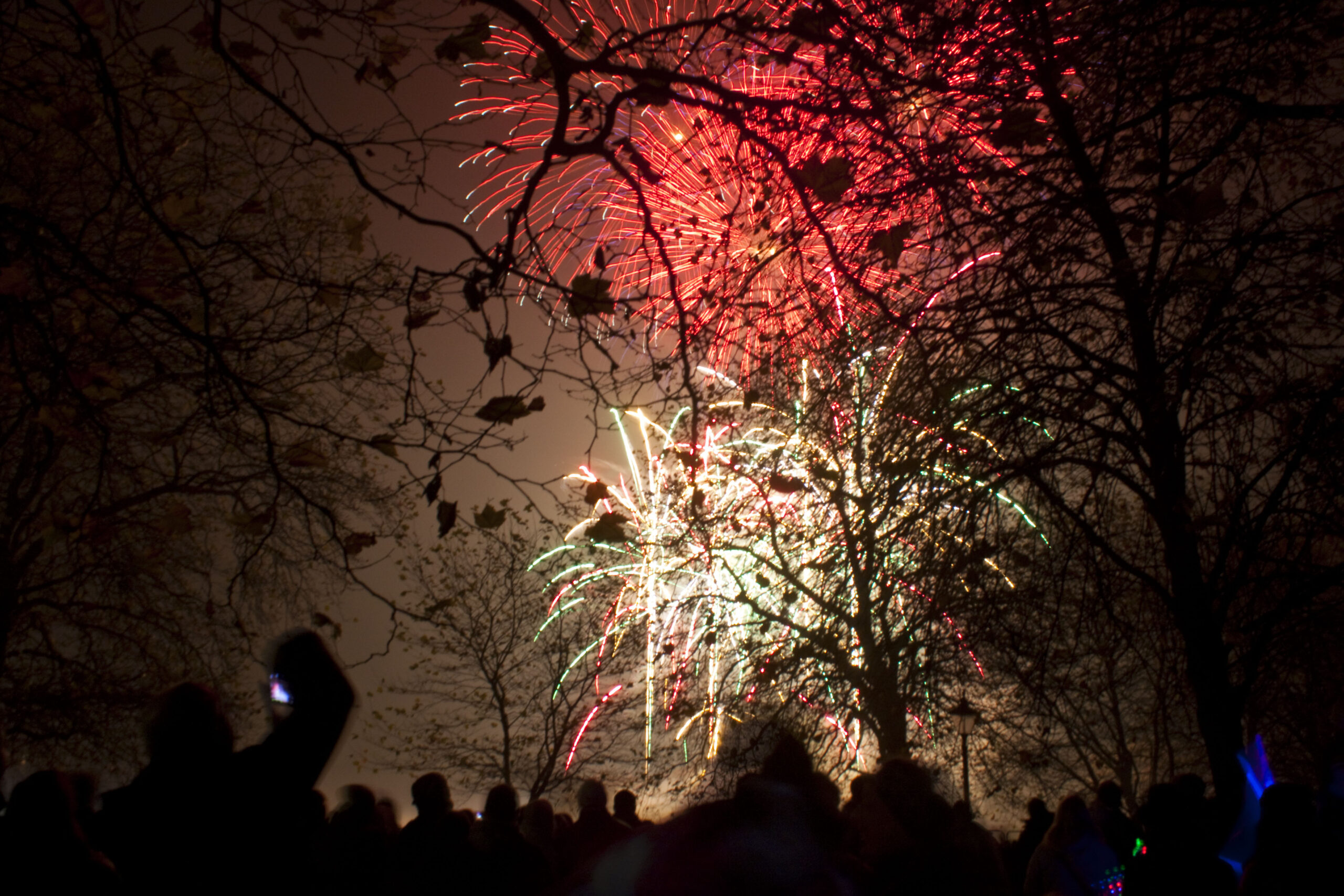 Bonfire Night Fireworks