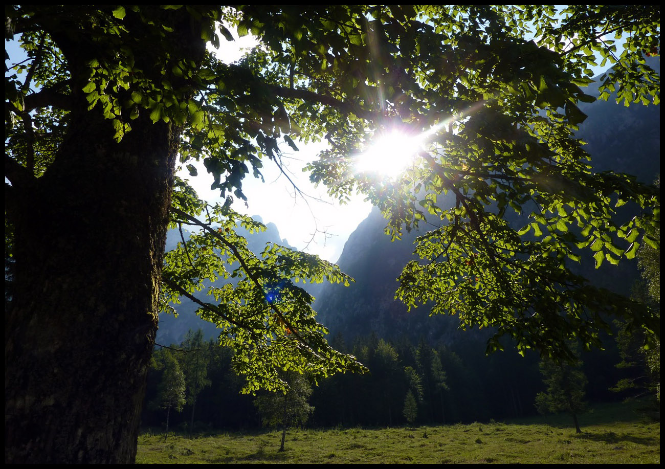 Green Slovenia