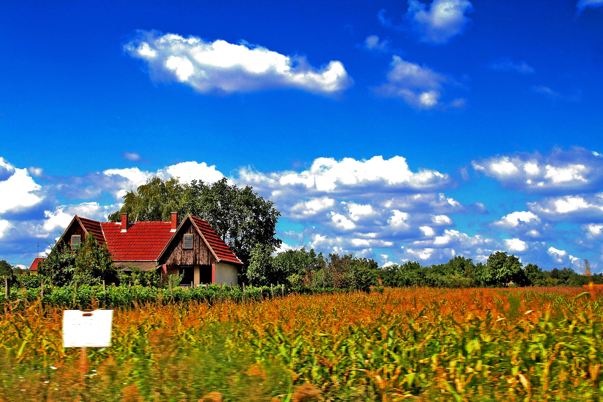 Hungarian Farmhouse