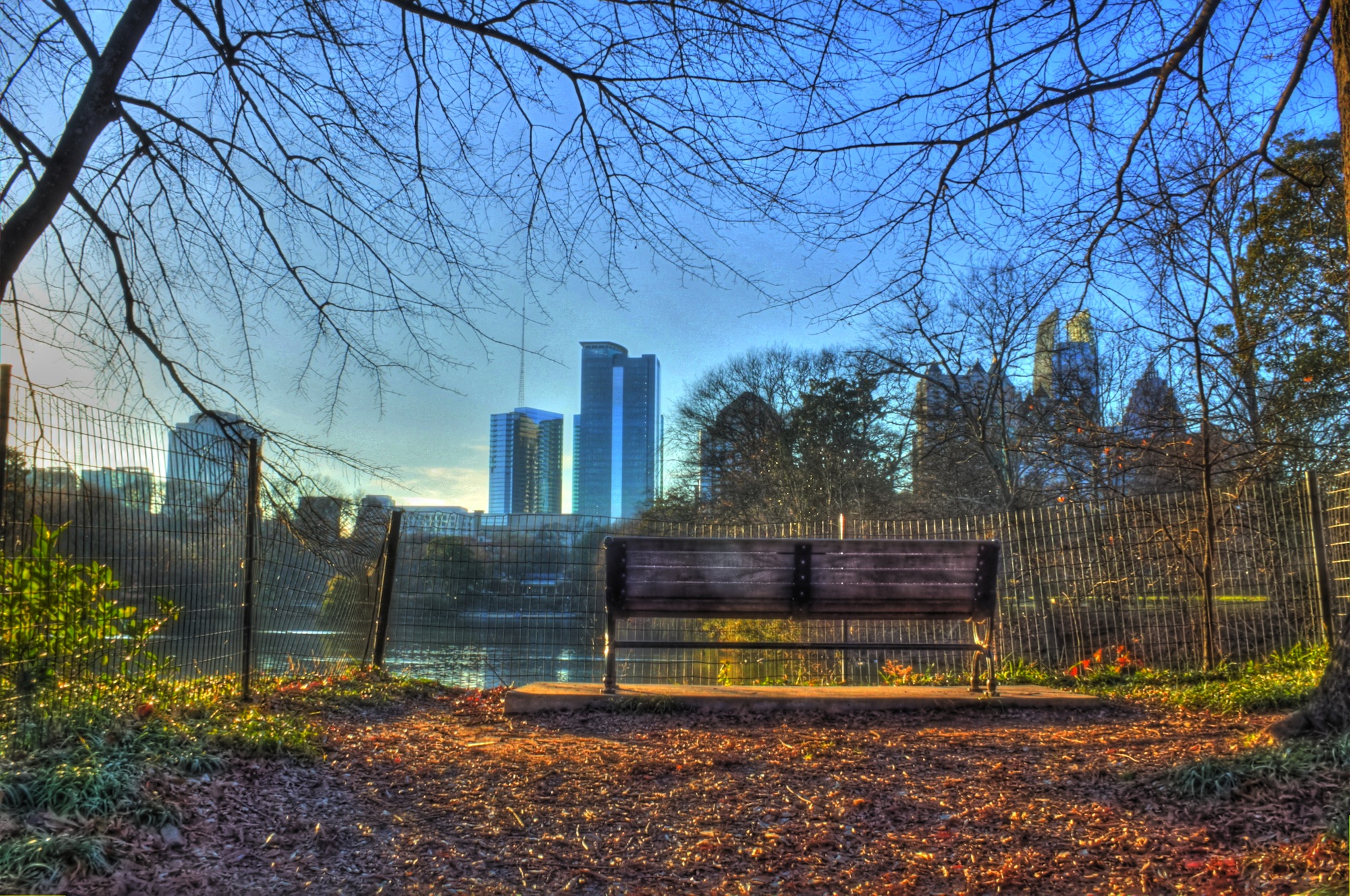 Piedmont Park Area