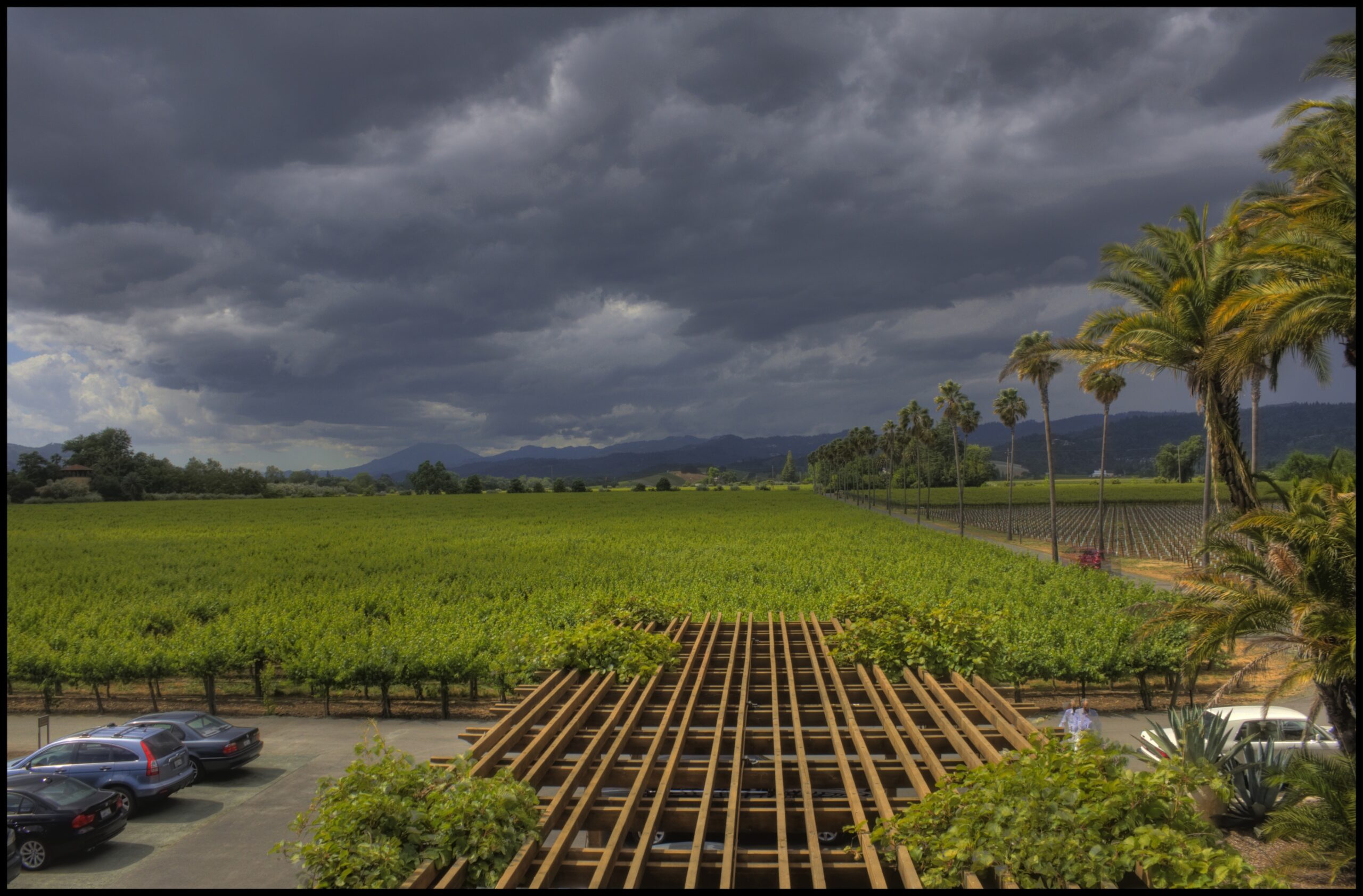 Storm in Napa Valley