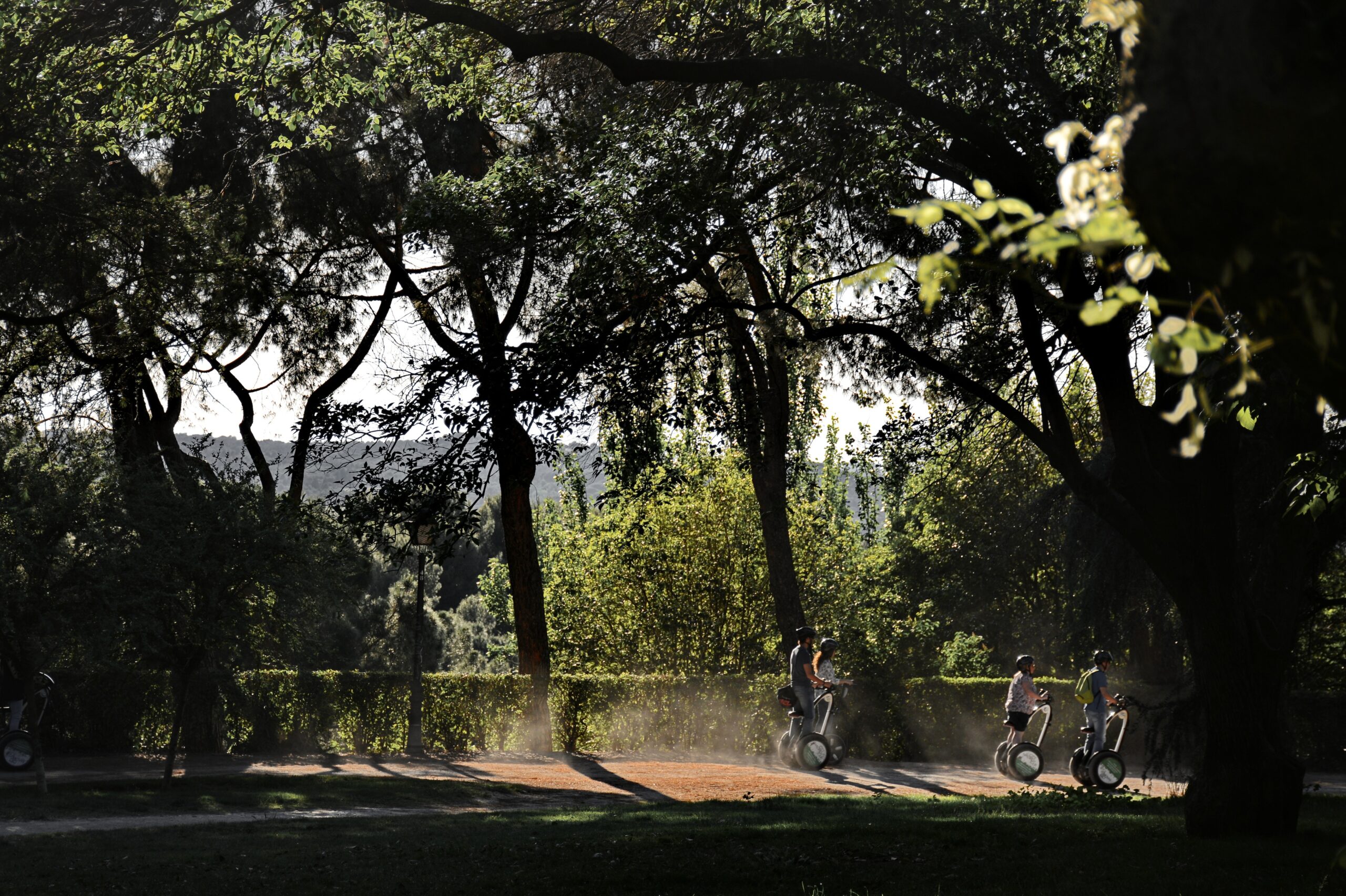 Segway in Park