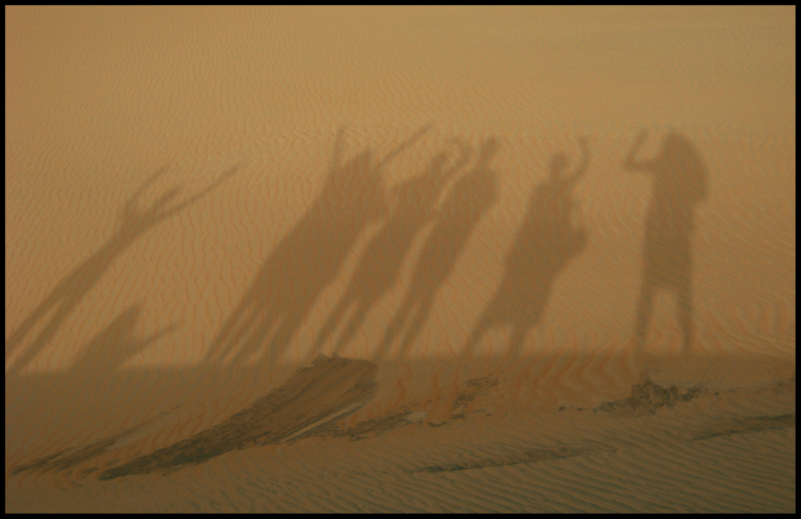 North Senegal, Desert