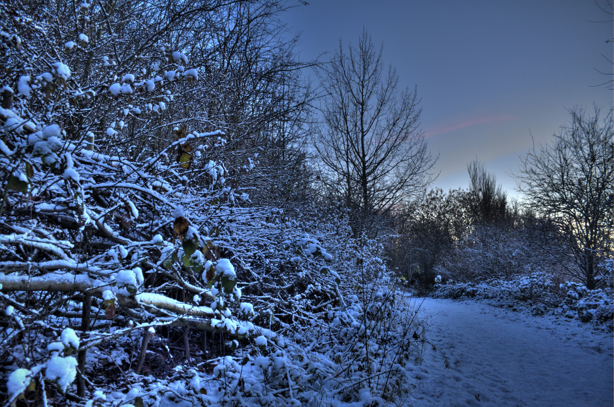 Snowy Leicester